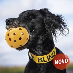 BOLA PARA CÃES INVISUAIS - Image 2