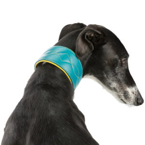 Coleira "Active Comfort" para Galgo - Image 6